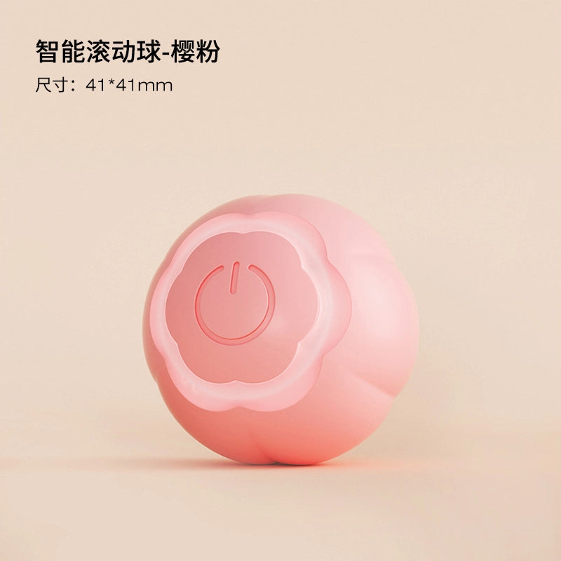 Minimalist ABS Silica Gel Solid Color Pet Toys