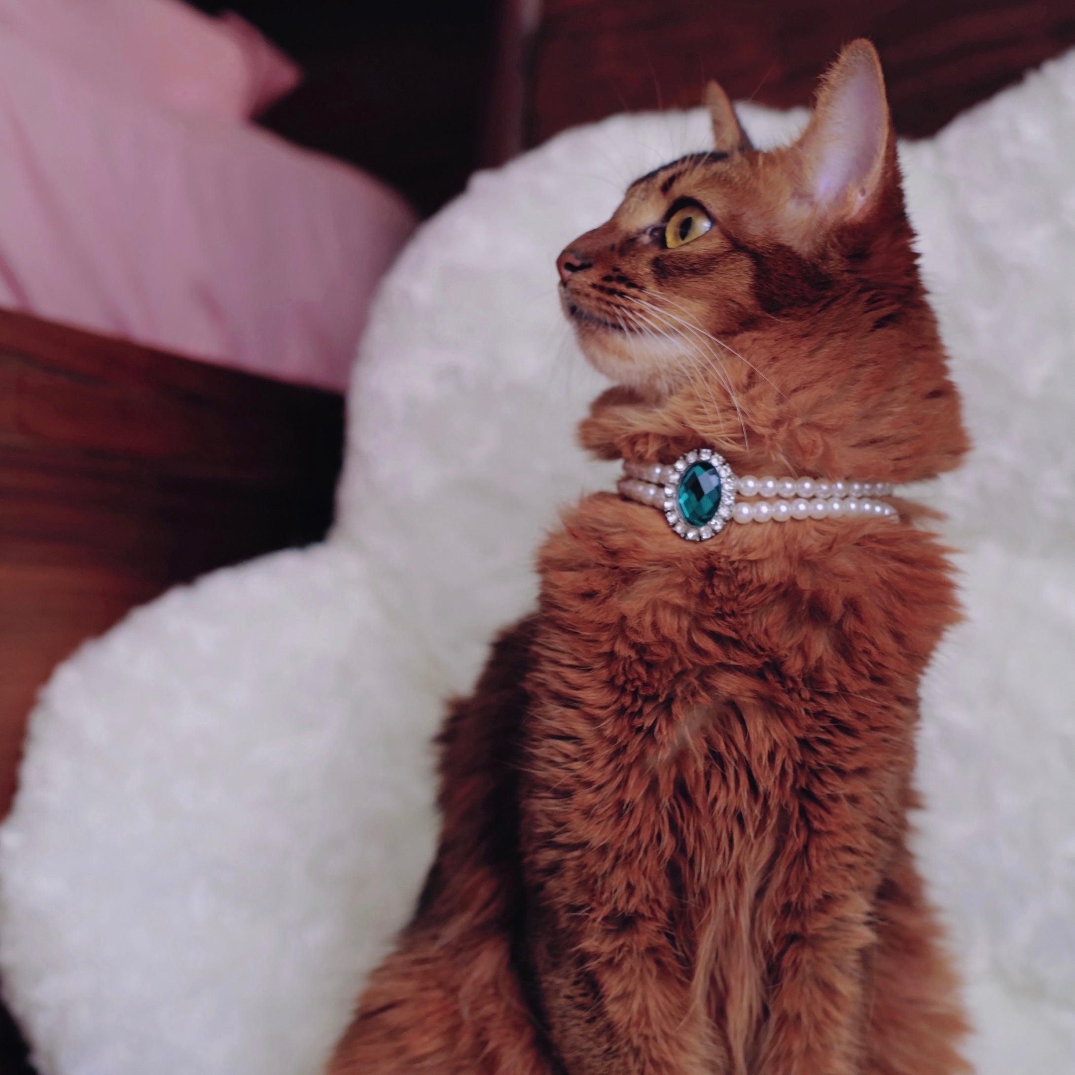 Rhinestone Jeweled Pet Necklace