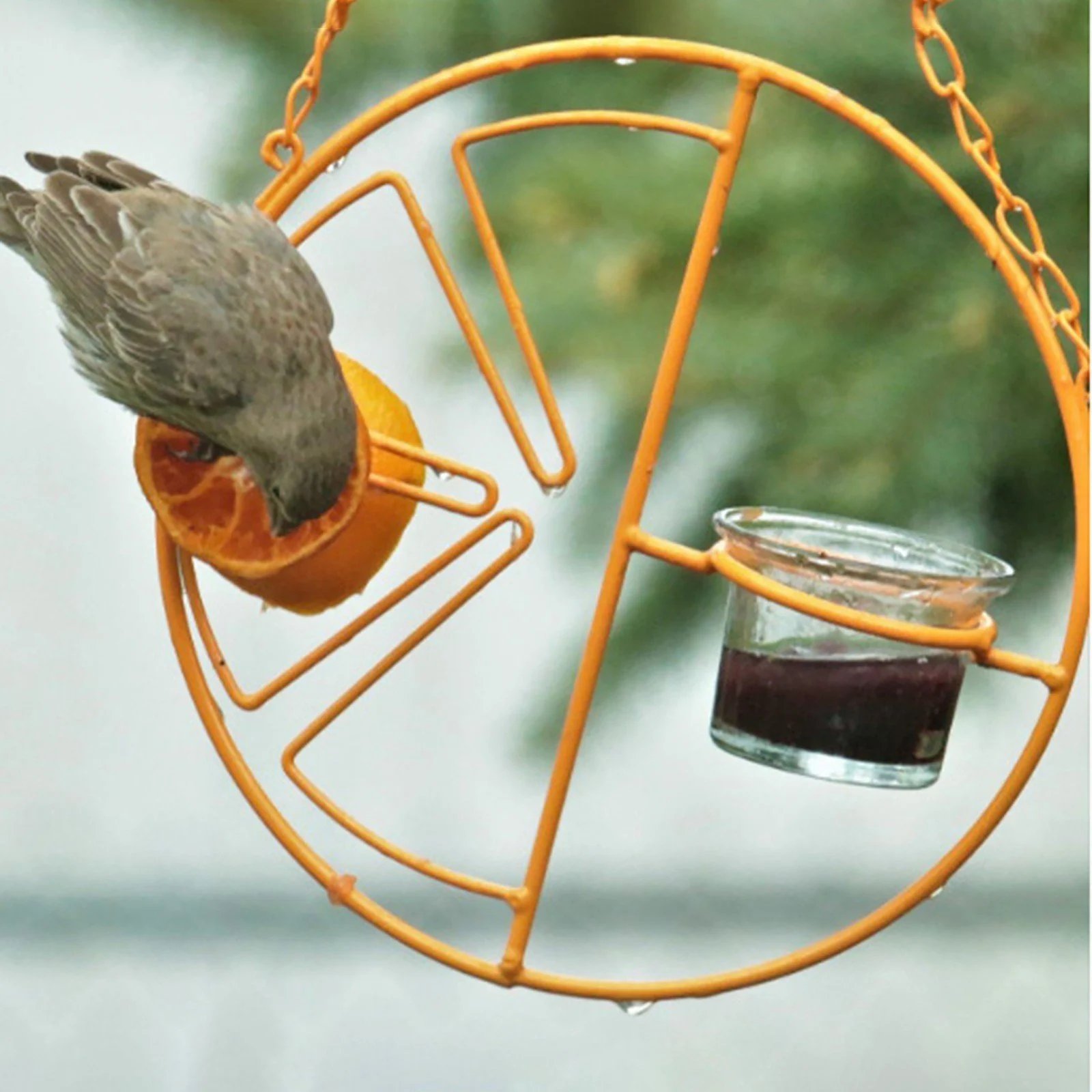 🔥2-in-1 hanging hummingbird oriole feeder