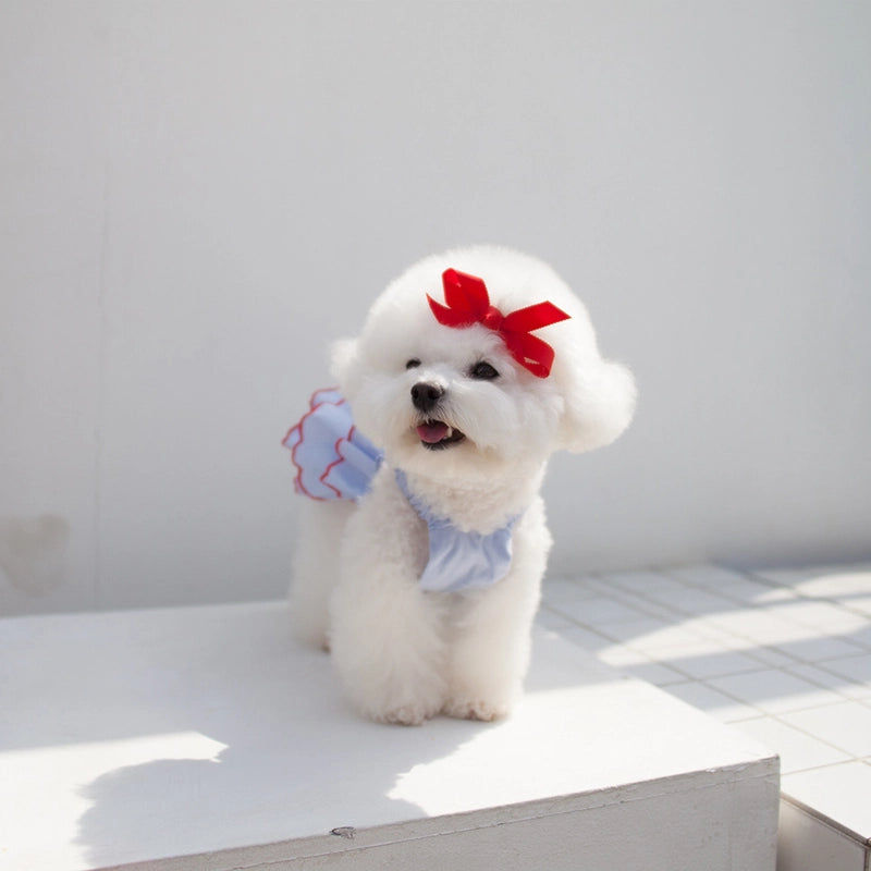 Summer Thin Pet Princess Dress Suitable For Small Puppies Cats Teddy Bichon Pomeranian Dog Summer Clothes