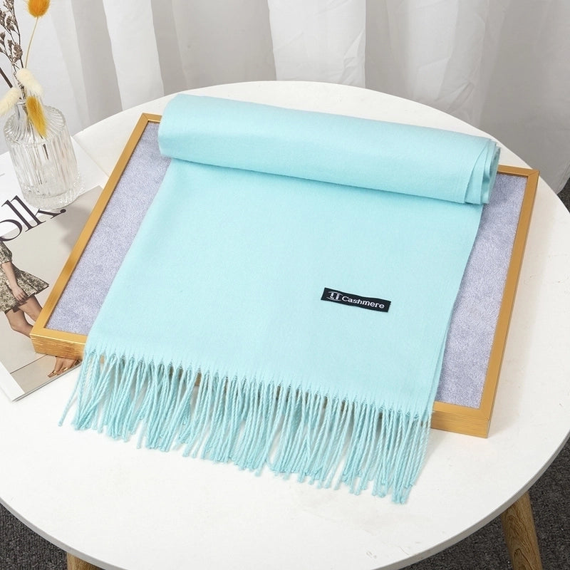 Women's Minimalist Solid Color Imitation Cashmere Tassel Scarf