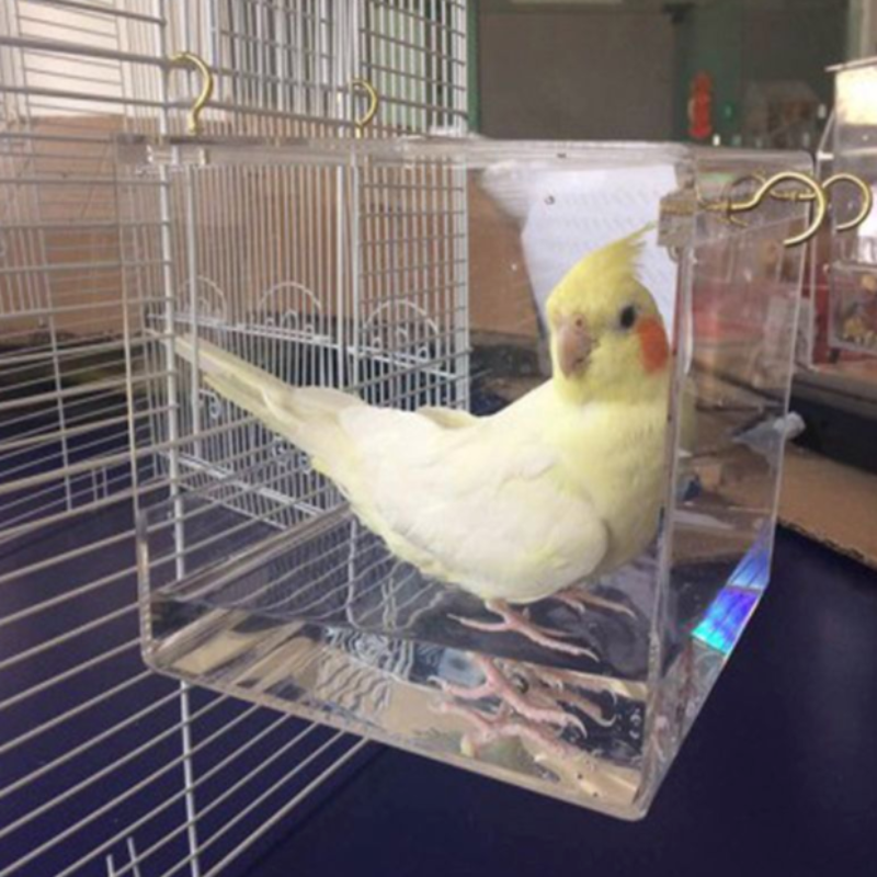 Deluxe Bird Bath Box Cage