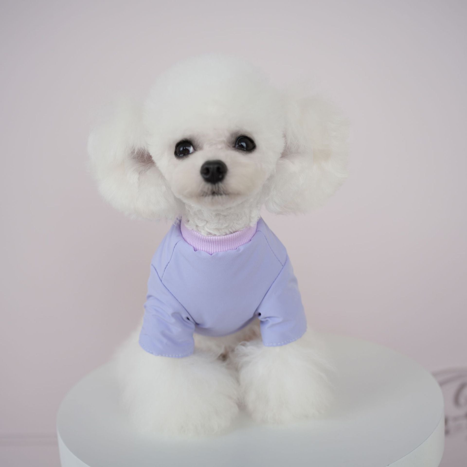 Cute Color Block Buttoned Dog Harness Jacket