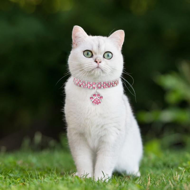 Footprints Dog Cat Jewelry Collar