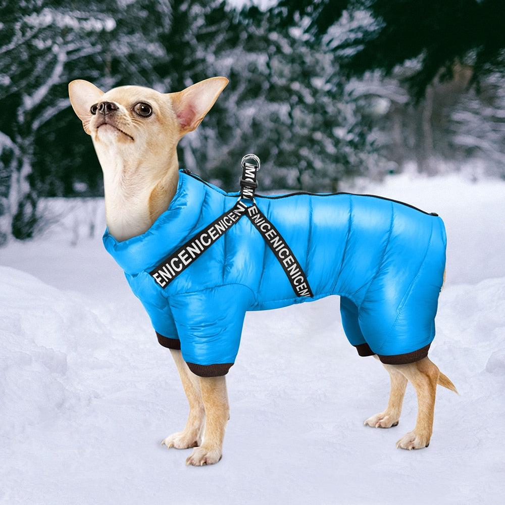 Letter Printed Winter Puppy Jacket