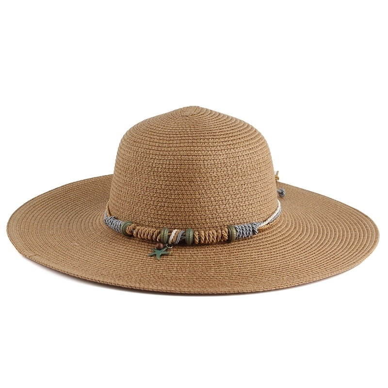 Women's Korean Style Solid Color Big Eaves Straw Hat