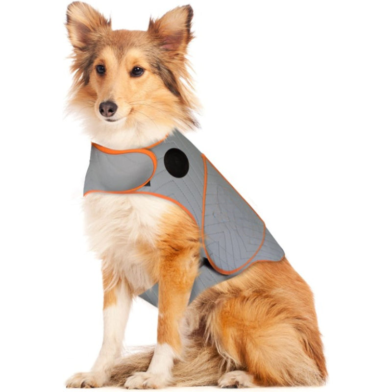 Sport Vest For Dogs