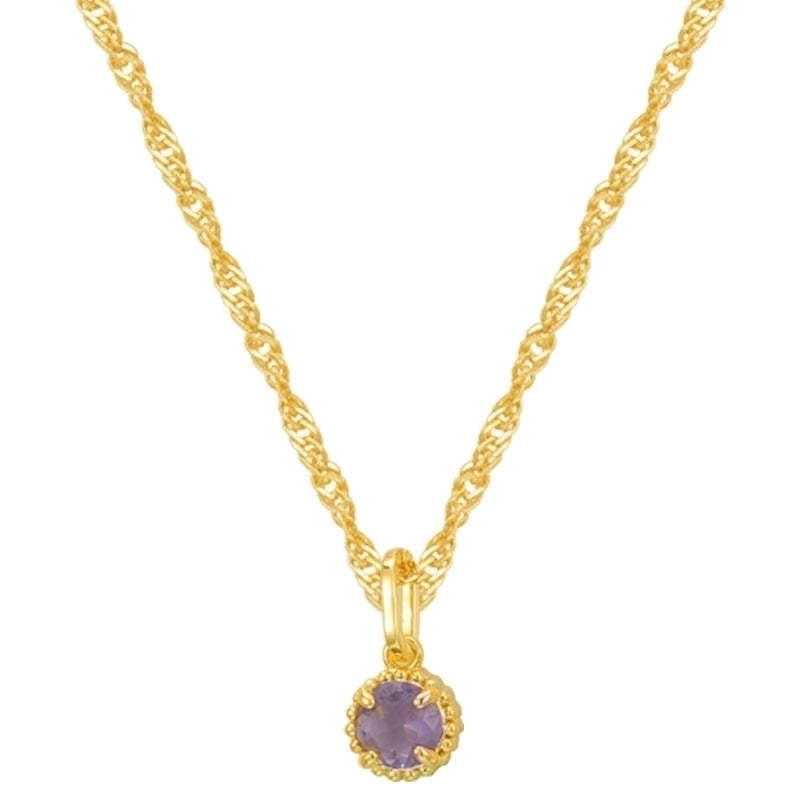 201 Stainless Steel 304 Stainless Steel Glass Gold Plated Elegant Minimalist Plating Inlay Round Birthstone Zircon Pendant Necklace