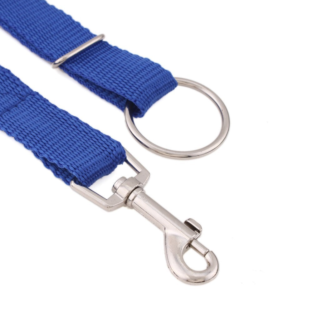 Large Dog Leash