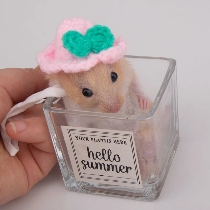 Hamster Hat Parrot Hair Band Photo Small Animal Headdress Handmade Frog Hat Ornaments Hedgehog Headgear Explosions