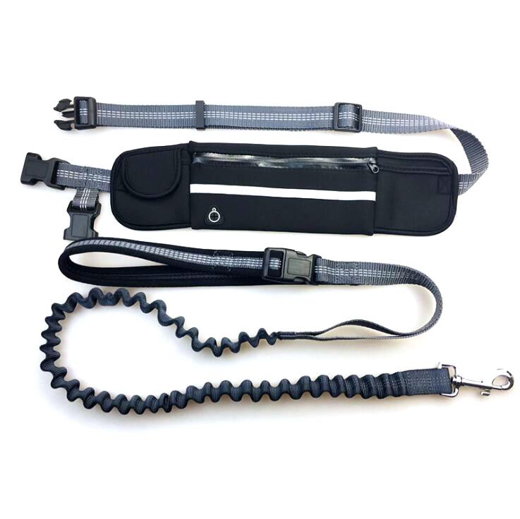 PetGenius Handsfree Dog Leash