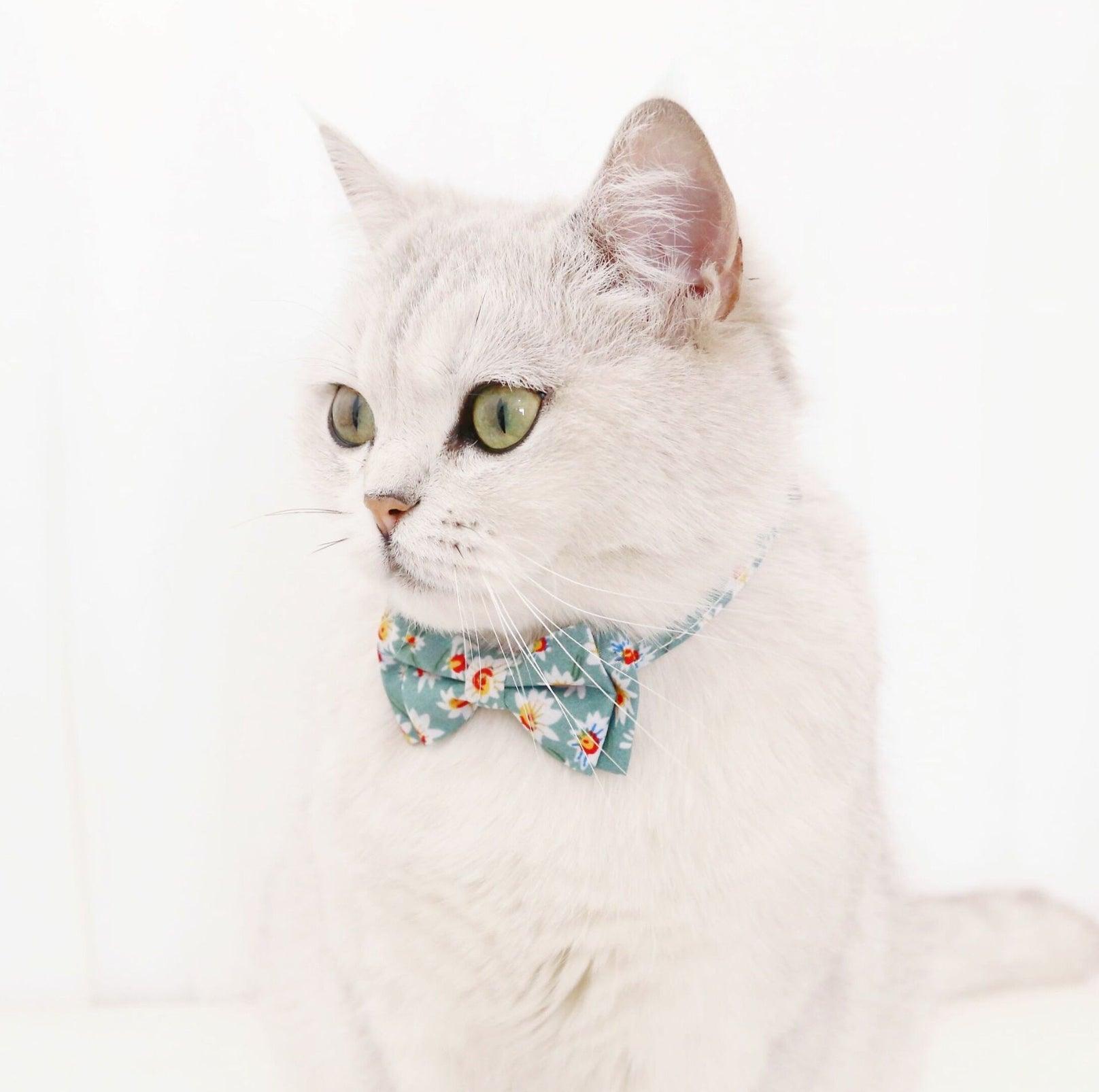 Adjustable Floral Bowtie Collar with Bell