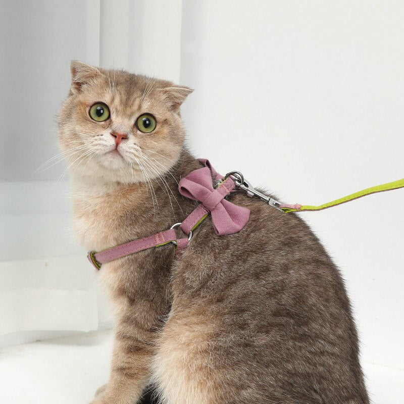 Puppy Dogs Collar And Leash Set