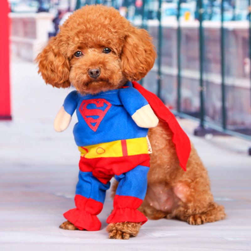 Pawsome Pet Couture: The Ultimate Dog Clothes Transformation