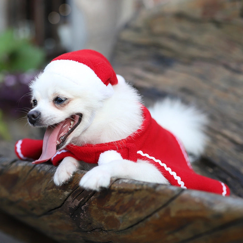 Vacation Christmas Solid Color Pet Clothing