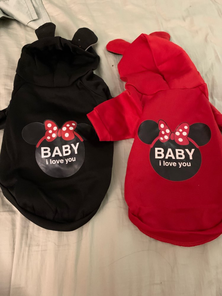 Mickey mouse Pet Hoodie- Spring