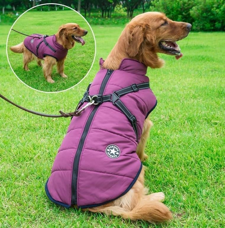 🔥  Promotion 47% OFF - Waterproof Winter Dog Jacket with Built-in Harness