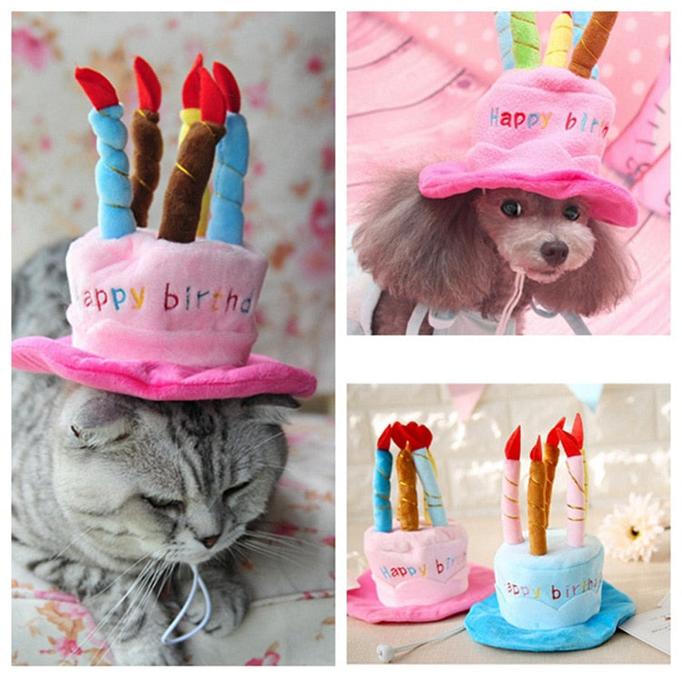 Cute Dog Cat Birthday Hat