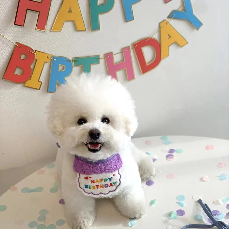 Dog Dog Party Birthday Hat Bib Dog Cat Pet Slippery Bag Slippery Towel Bichon Pet