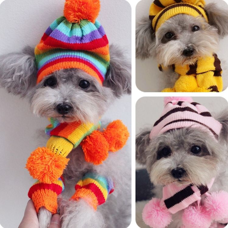 Knitting Pet Hat Scarf Socks Set