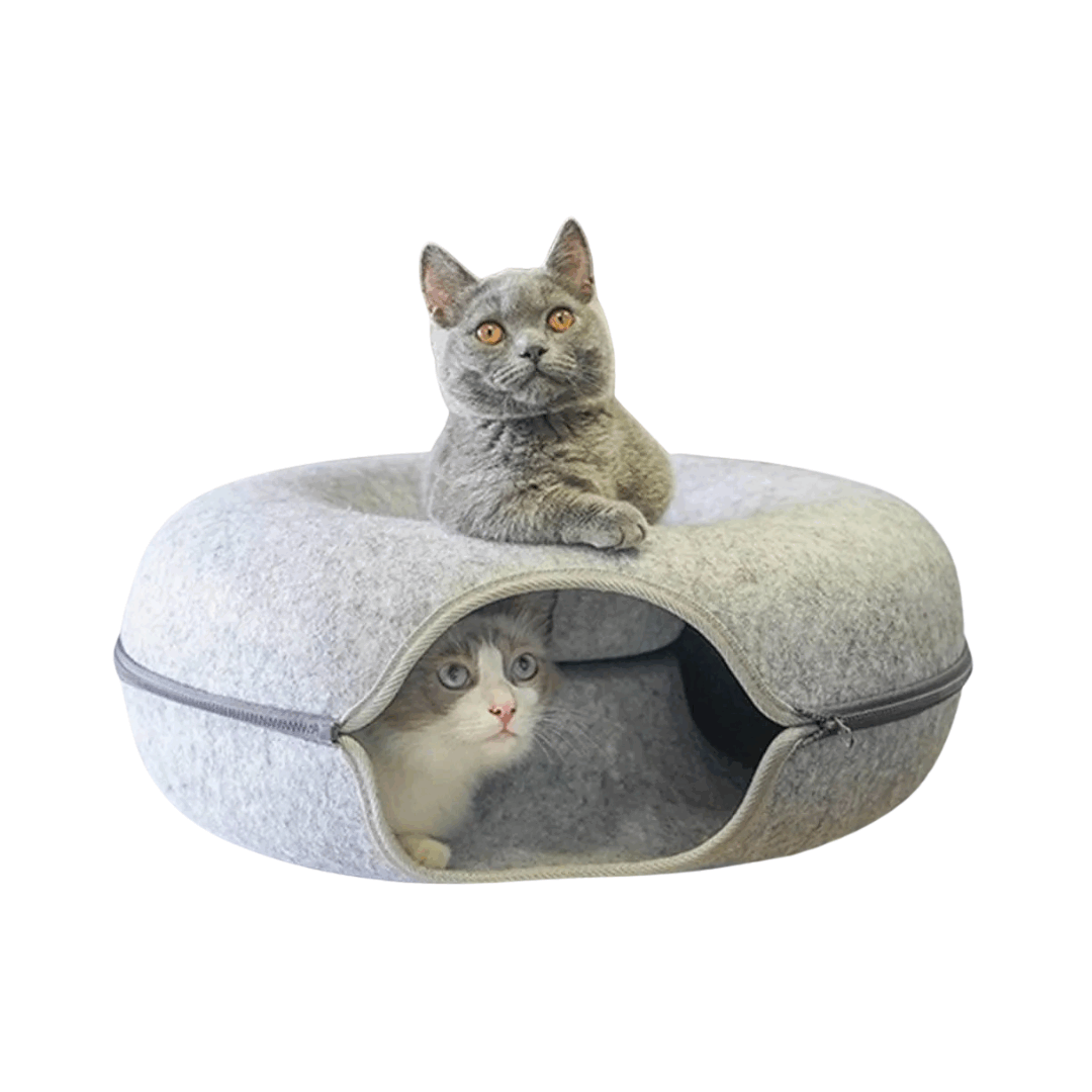 🔥HOT SALE 🔥 Tunnel Interactive Cat Bed