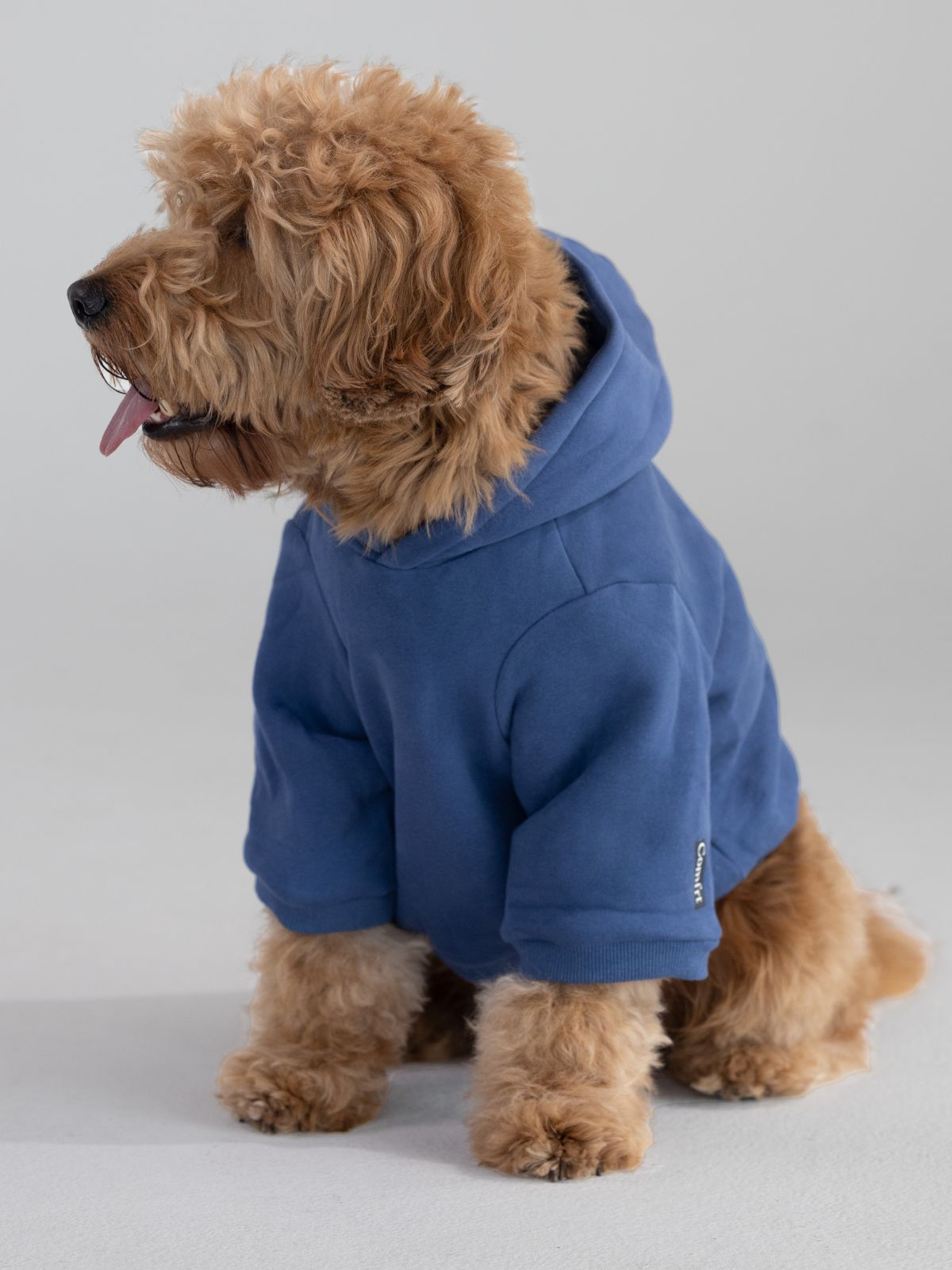 Standard Paw Hoodie