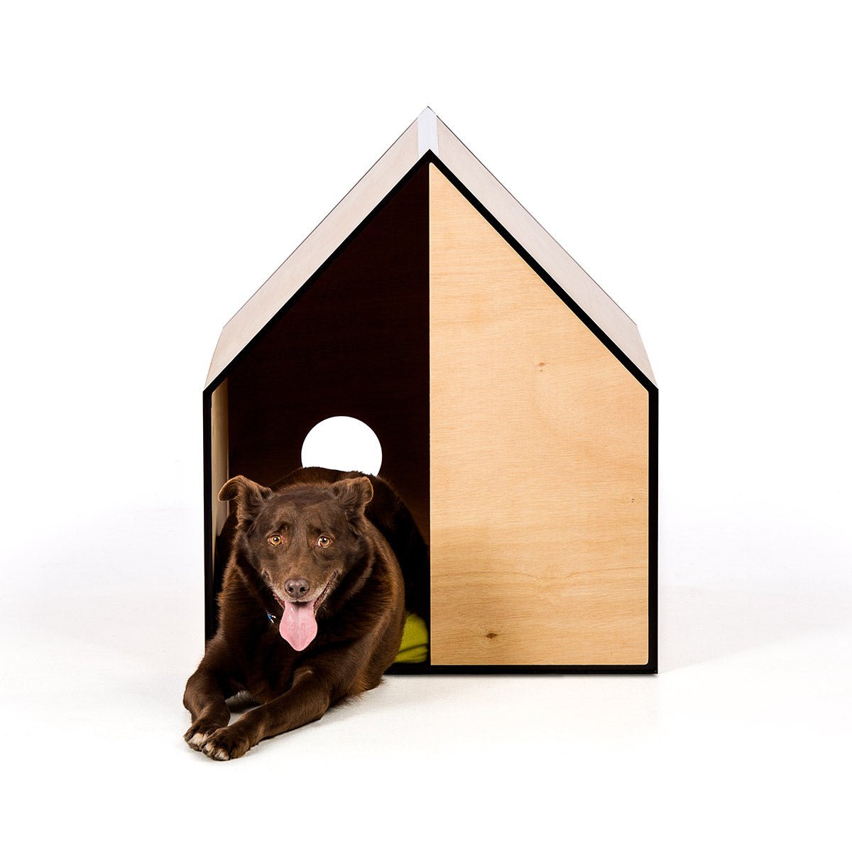 The Dog Room in Large