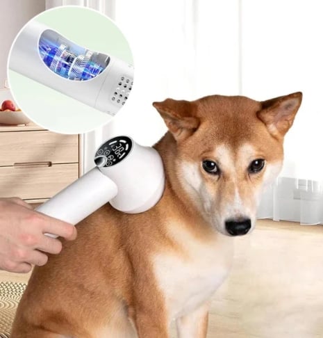 47% OFF Noise-wide hairdryer for pets with slicker brush