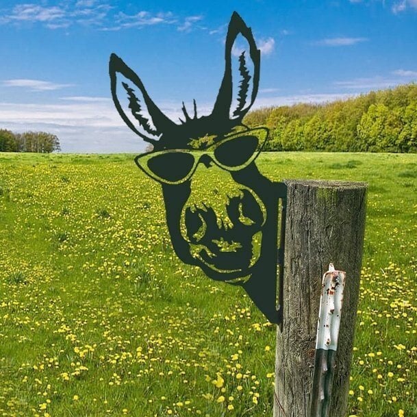 🔥Farm Peeping Animal Metal Art