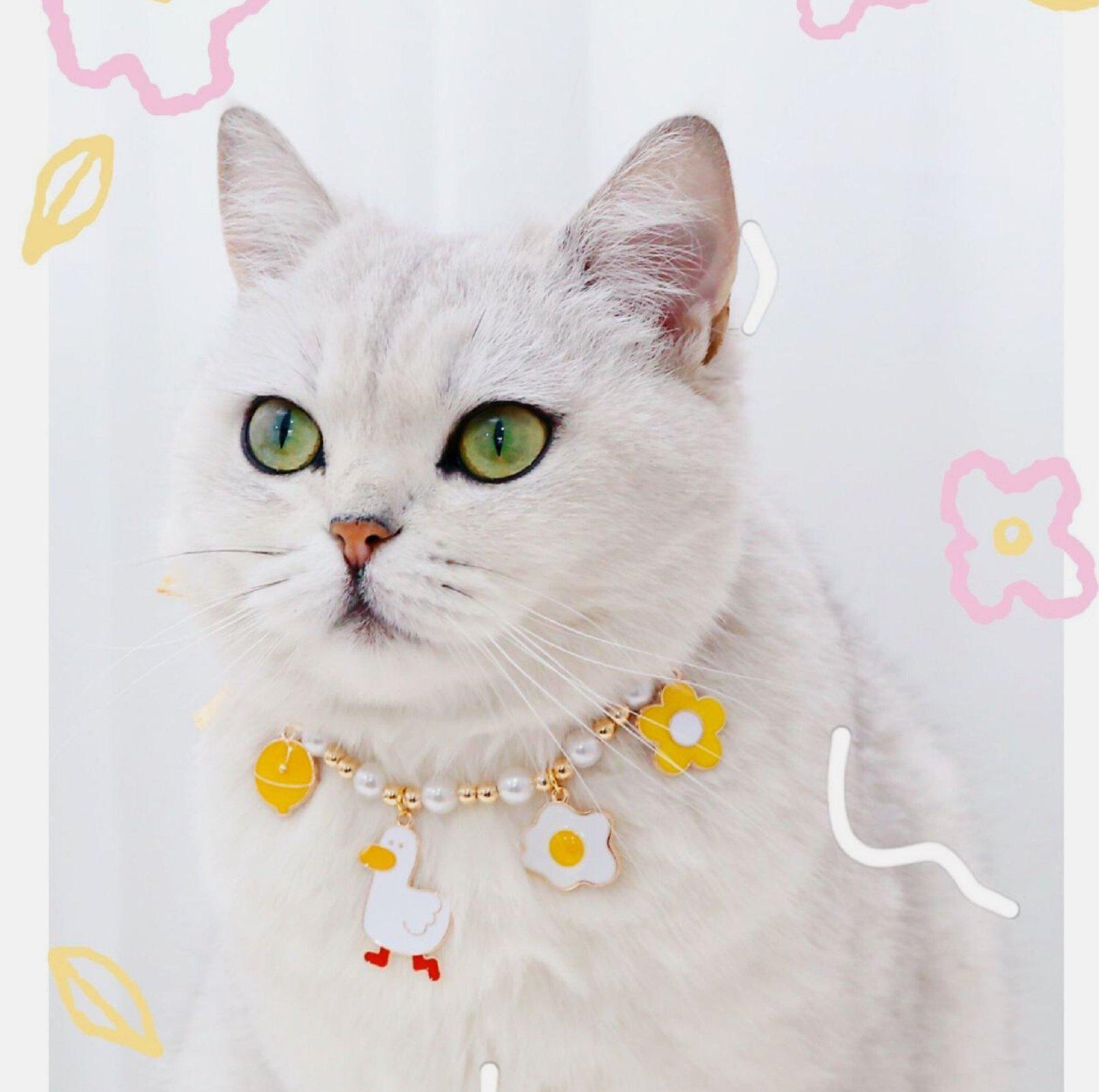 Cute Adjustable Ice-cream Strawberry & Duck Pet Necklace