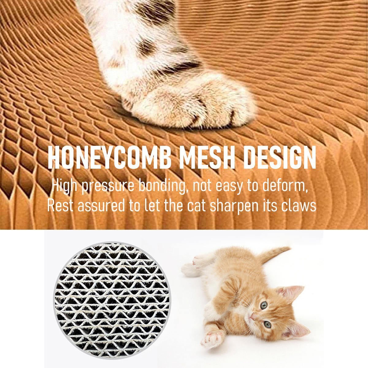 💥Last Day Promotion 70% OFF💥Organ Cat Scratching Board