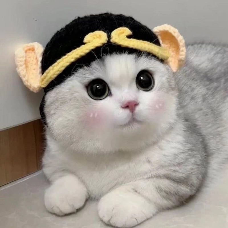 Cute Acrylic Cartoon Pet Hat