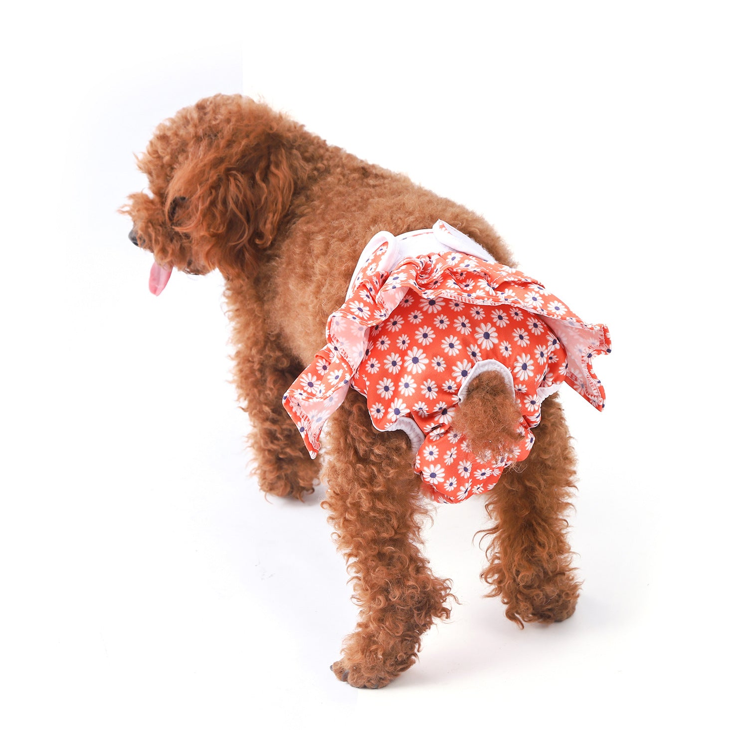 Reusable Printed Dog Cat Diaper Pants
