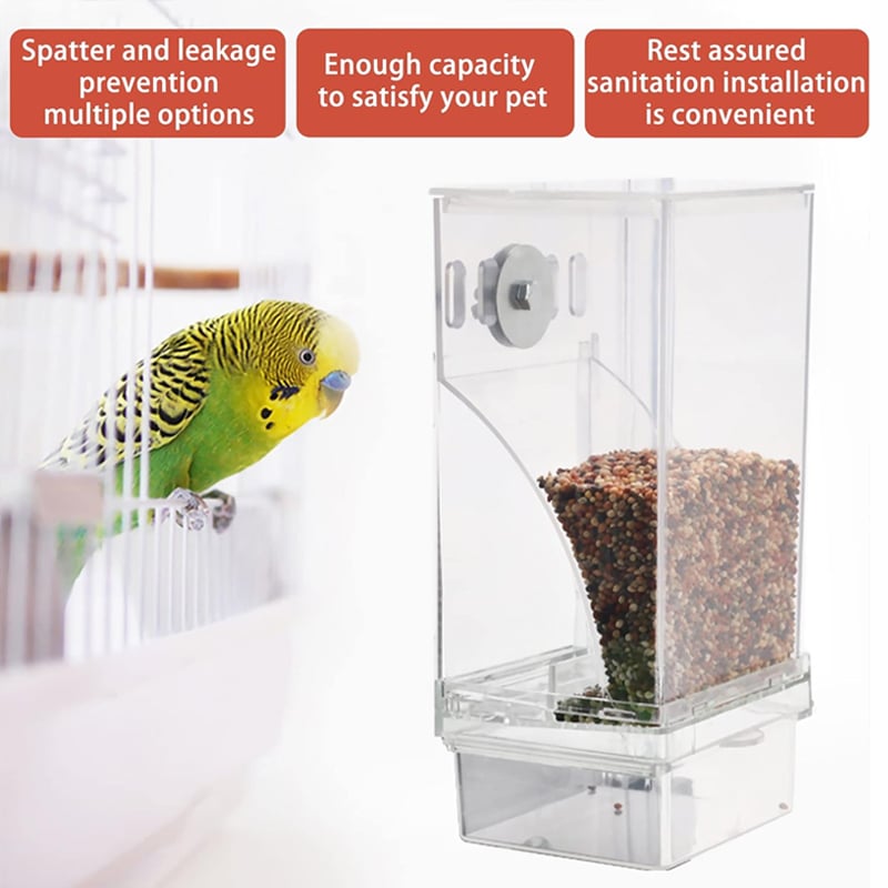 No Mess Automatic Bird Feeder