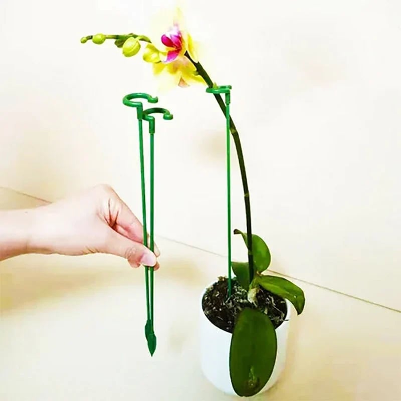 🔥 BIG SALE - 49% OFF Plant Support Stake