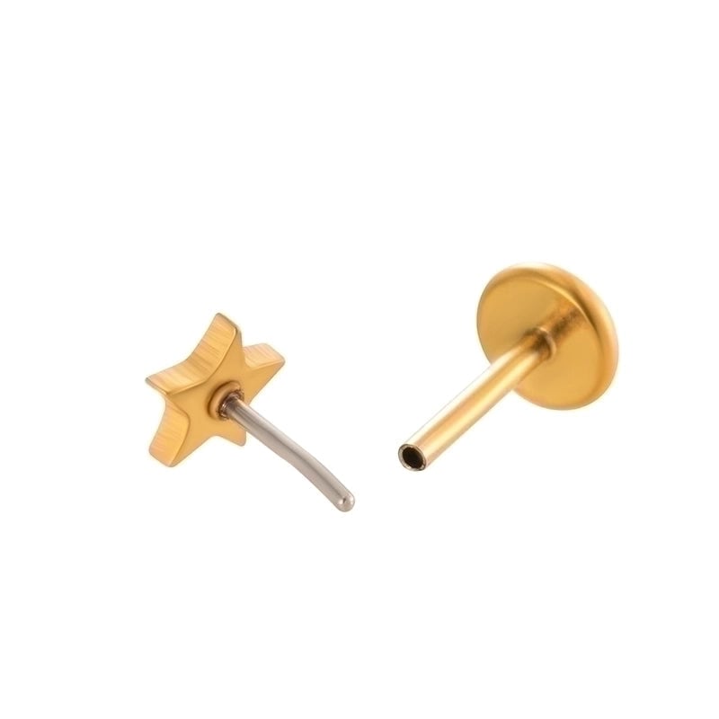 1 Piece Ear Cartilage Rings & Studs Minimalist Geometric Round 316L Stainless Steel  Plating 18K Gold Plated Ear Cartilage Rings & Studs