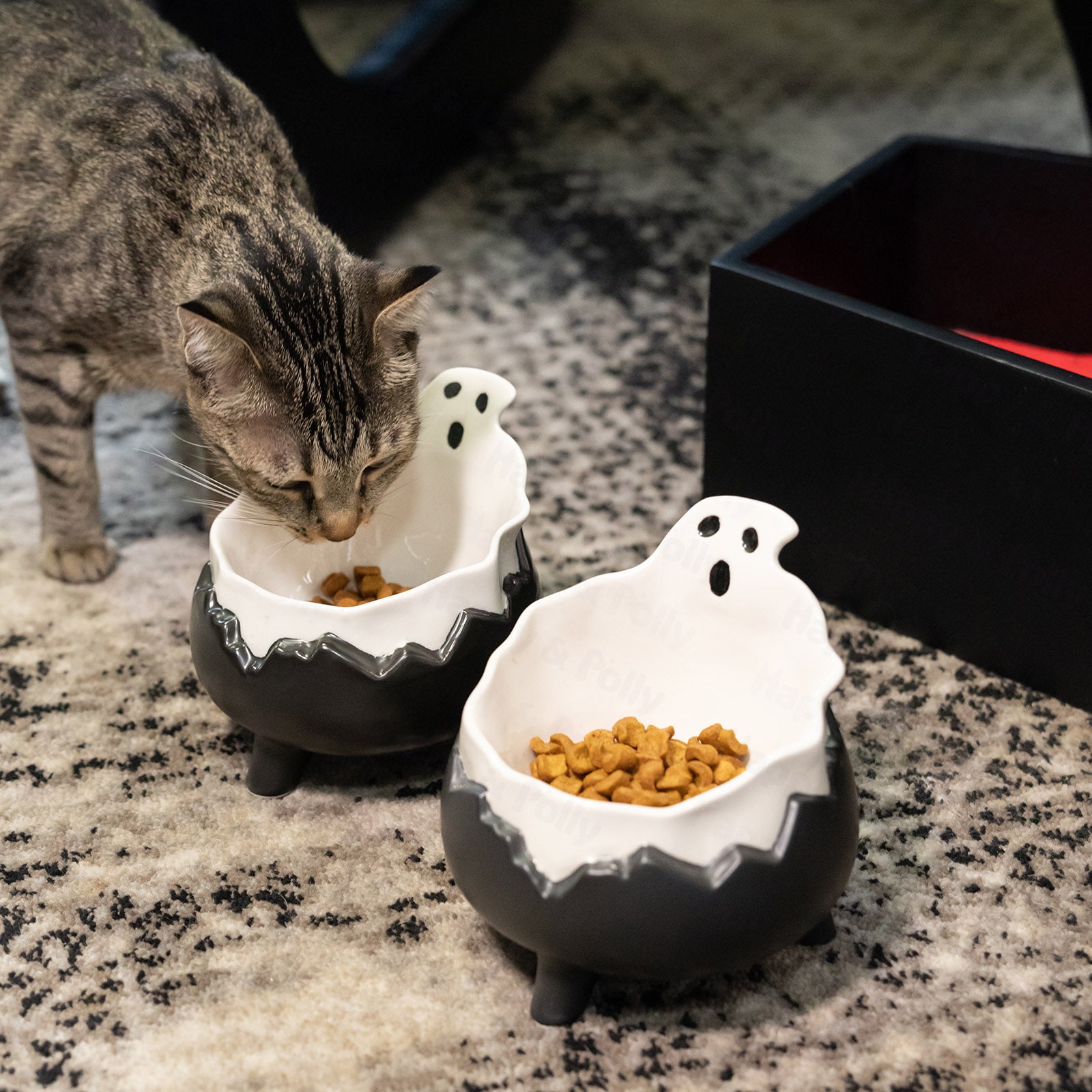 Spooky Cat Bowl