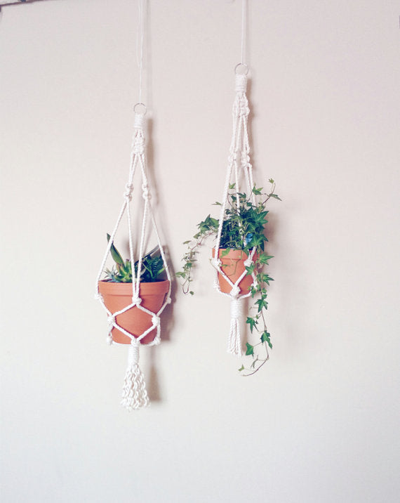 Hanging planter. Macrame plant hanger