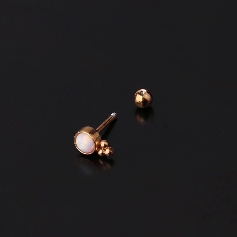 Ear Cartilage Rings & Studs Fashion Geometric 316L Stainless Steel  Inlaid Gemstone
