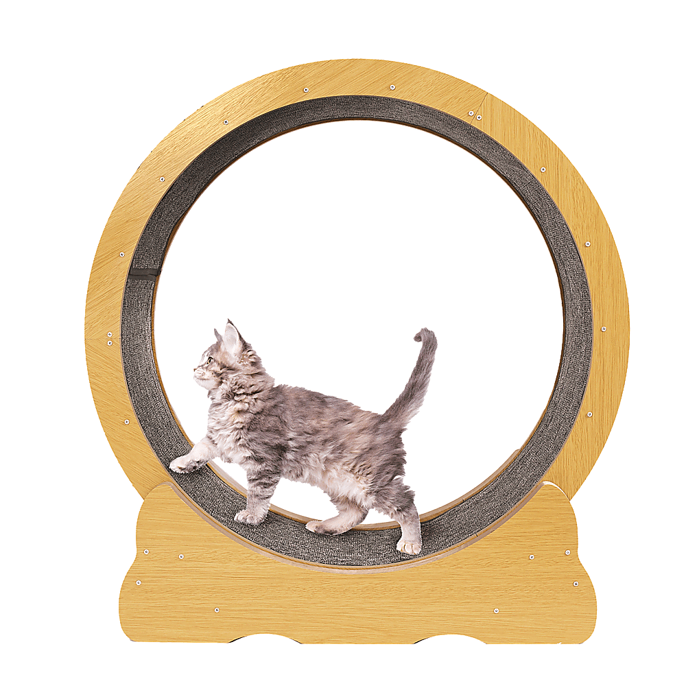 Cat Running Wheel w/ Carpet Runway Cat Exercise Wheel for Fitness Cat Treadmill