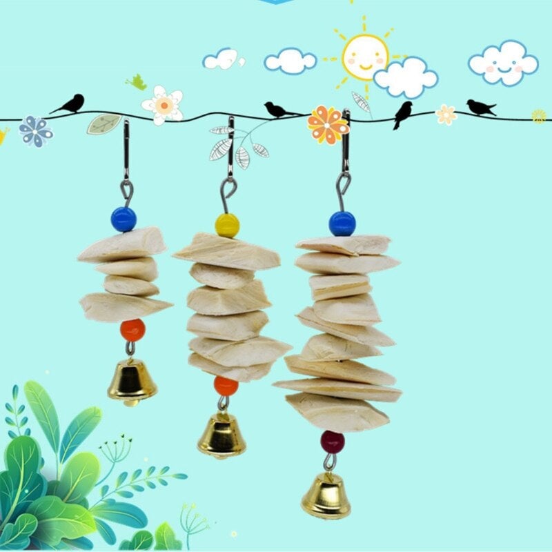 Parrot Cuttlefish Bone Toy