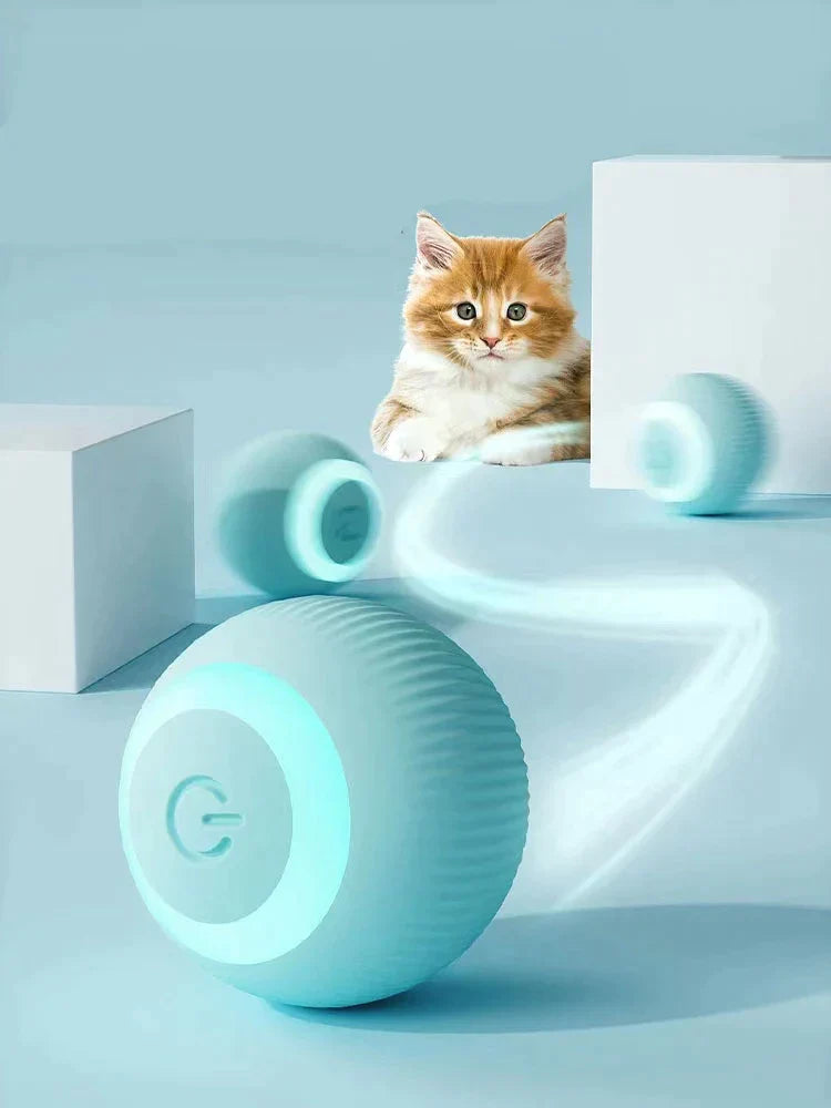 Smart Cat Toy?