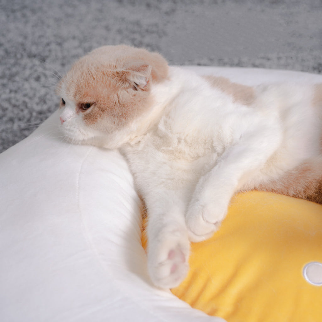 Purlab Pet Bed｜Soft Egg Bed｜Cat Bed Dog Bed