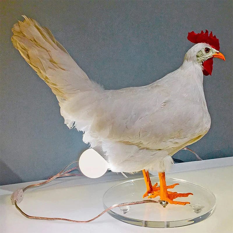 Chicken Egg Lamp