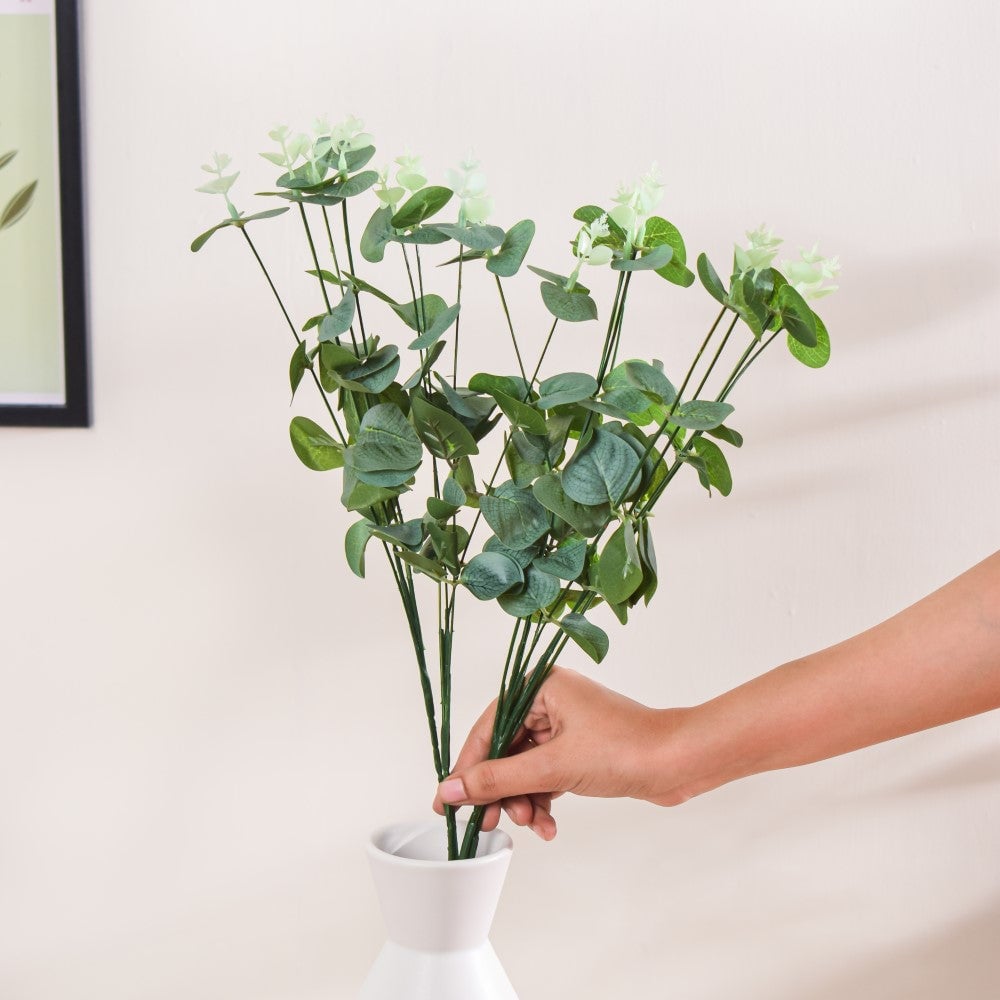 Eucalyptus Leaves