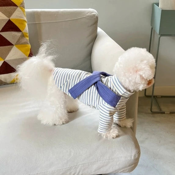 Striped Scarf Decor Dog Cat Sweatshirt