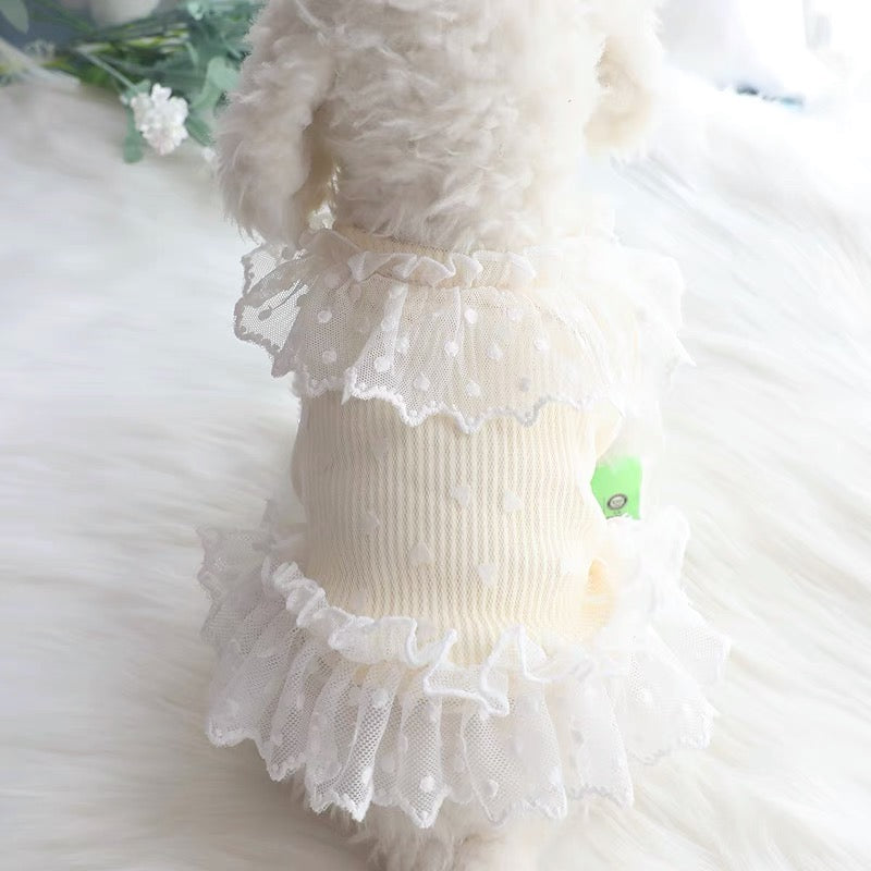 Heart Printed Lace Dog Cat Dress