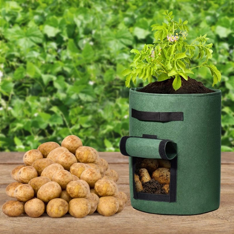 Basic Solid Color Nonwoven Planting Sack