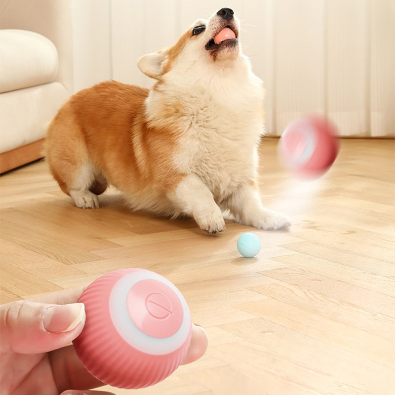 PetGenius Electric Ball Toy for Pets