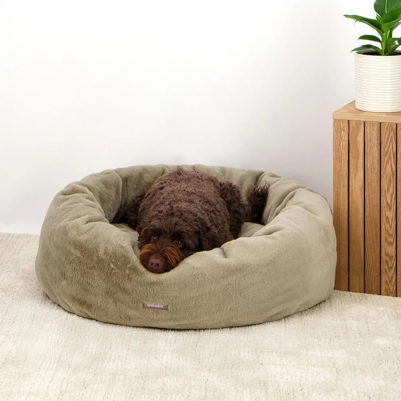 Luxe Cuddler Dog Bed - Sage